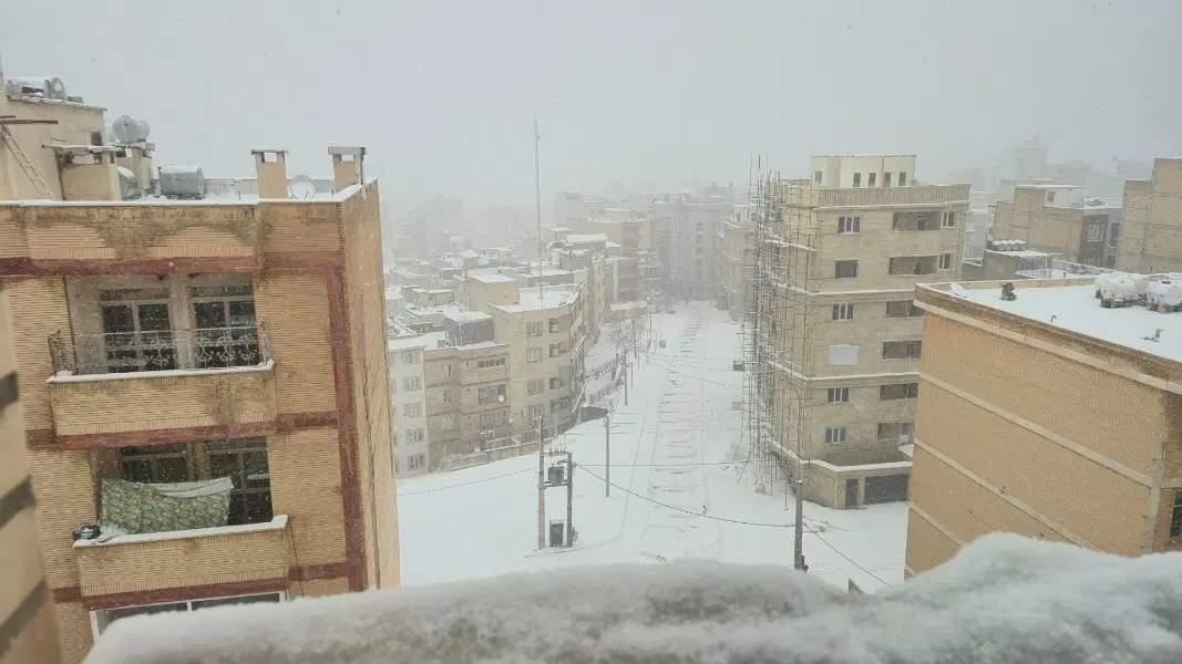 اجاره متخصصین