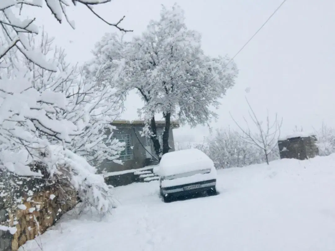 اجاره روزانه ویلا باغ