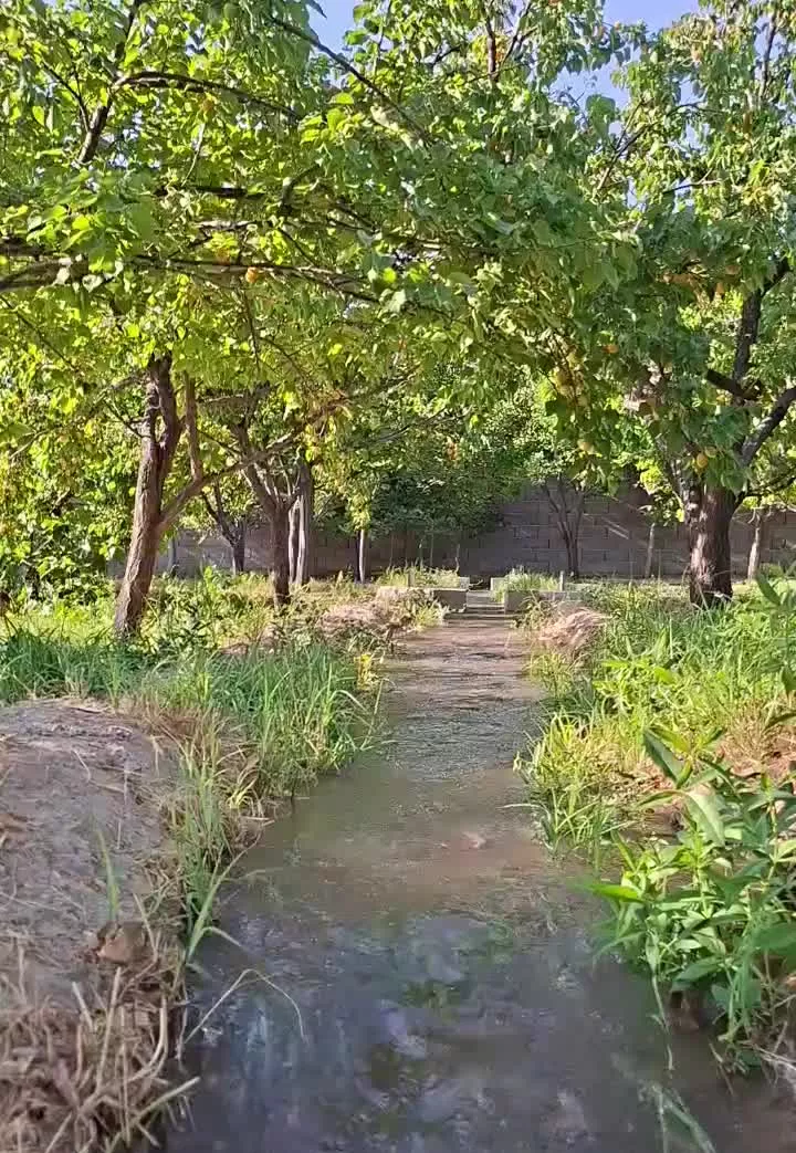 باغ ۱۰۰۰ متری دیزج امیر مدار اسکو ، خسروشاه