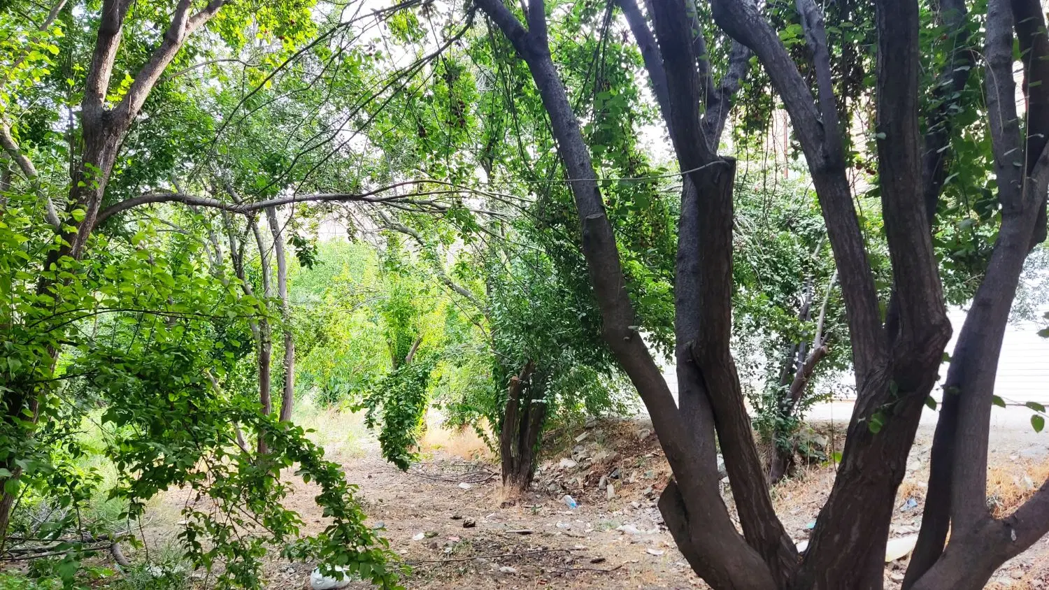 فروش زمین مسکونی 86متر