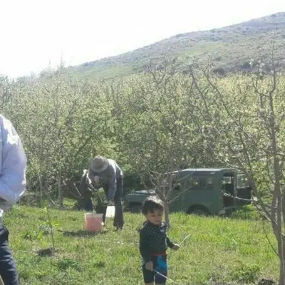 فروش باغ در روستای تبنق