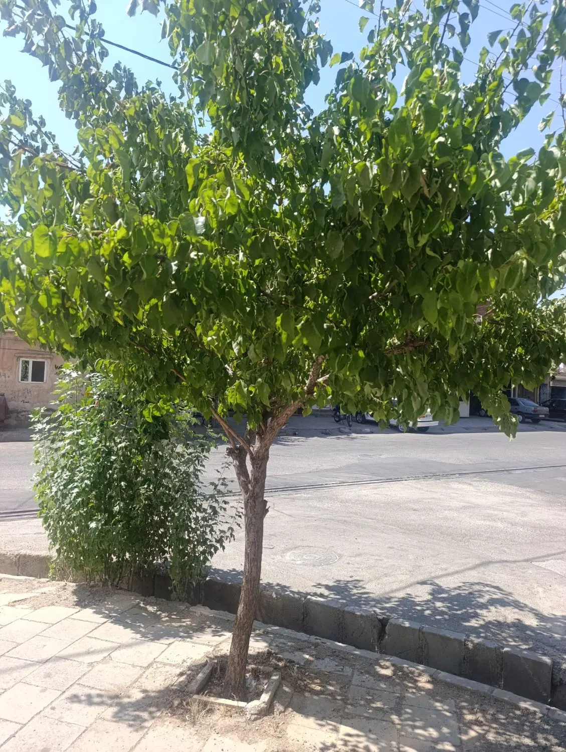 فروش 7200مترزمین پشت صنوف الاینده 2