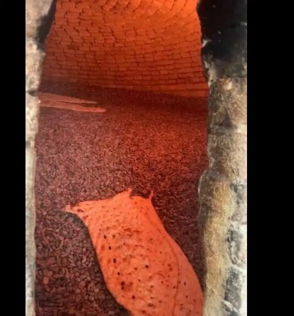 فروش ۱.۵ دانگ نانوایی سنگکی،فلکه اول تهرانپارس