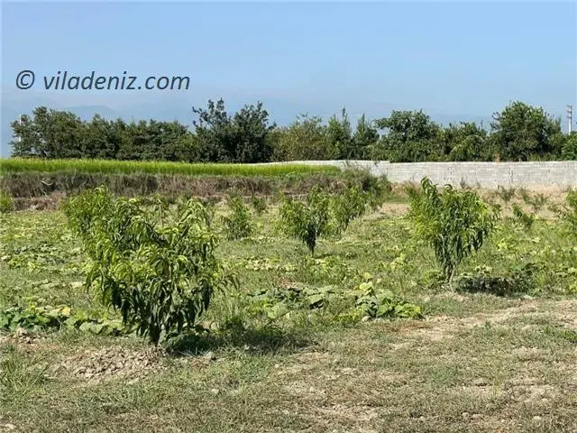 زمین زیرقیمت برای خونه باغ ویلا