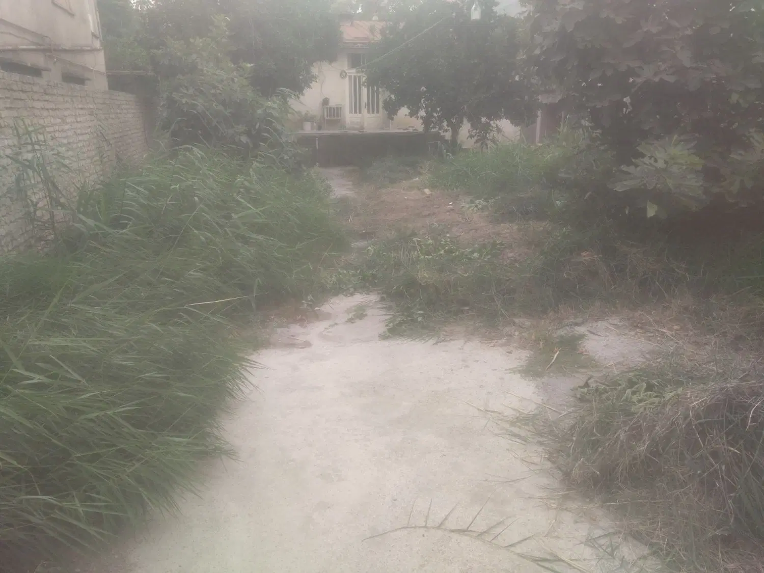 اجاره رایگان زمین در قلب شهر برای گلخانه