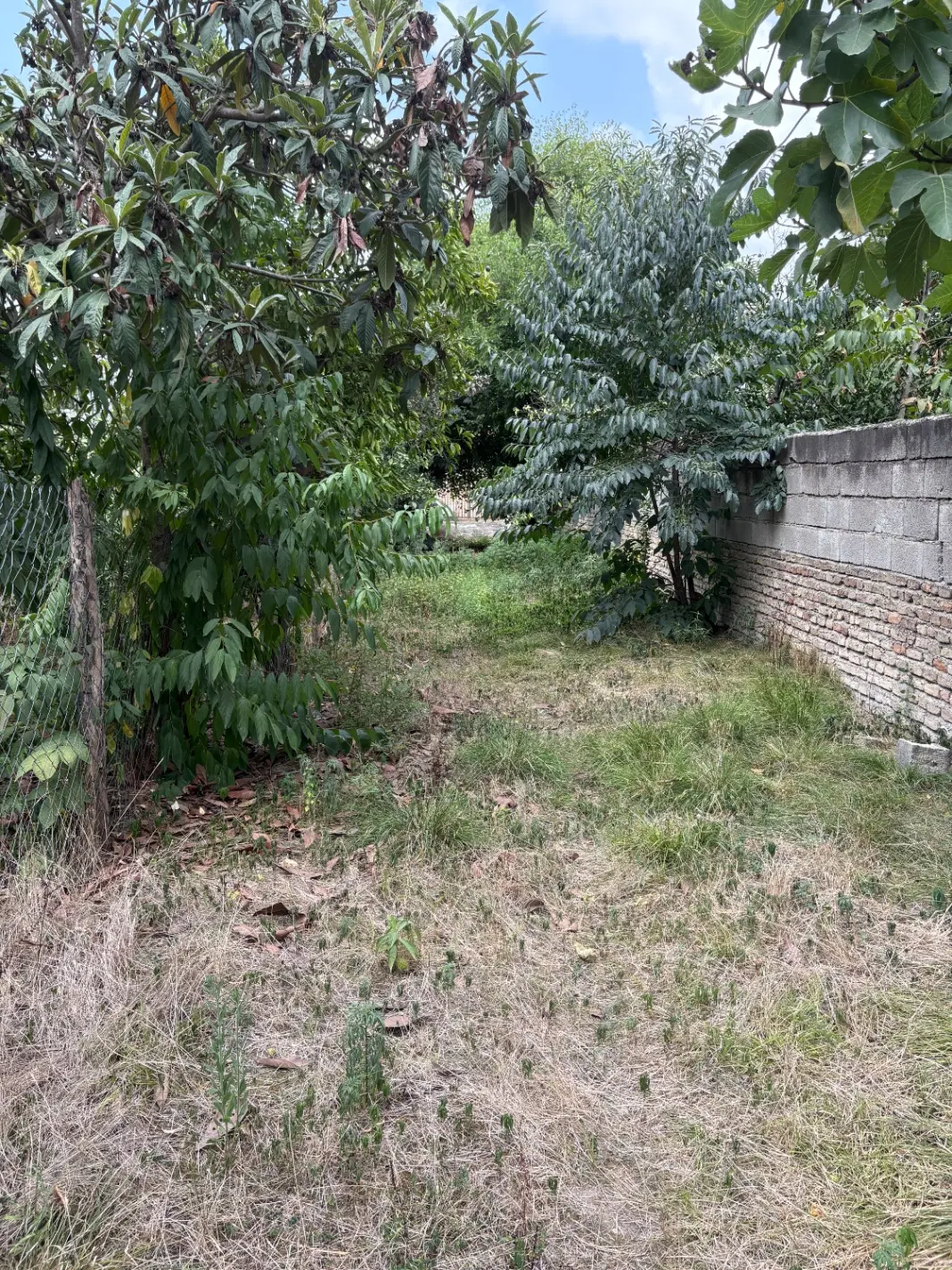 زمین داخل بافت در ابوخیل ارطه در بخش چشمه سر