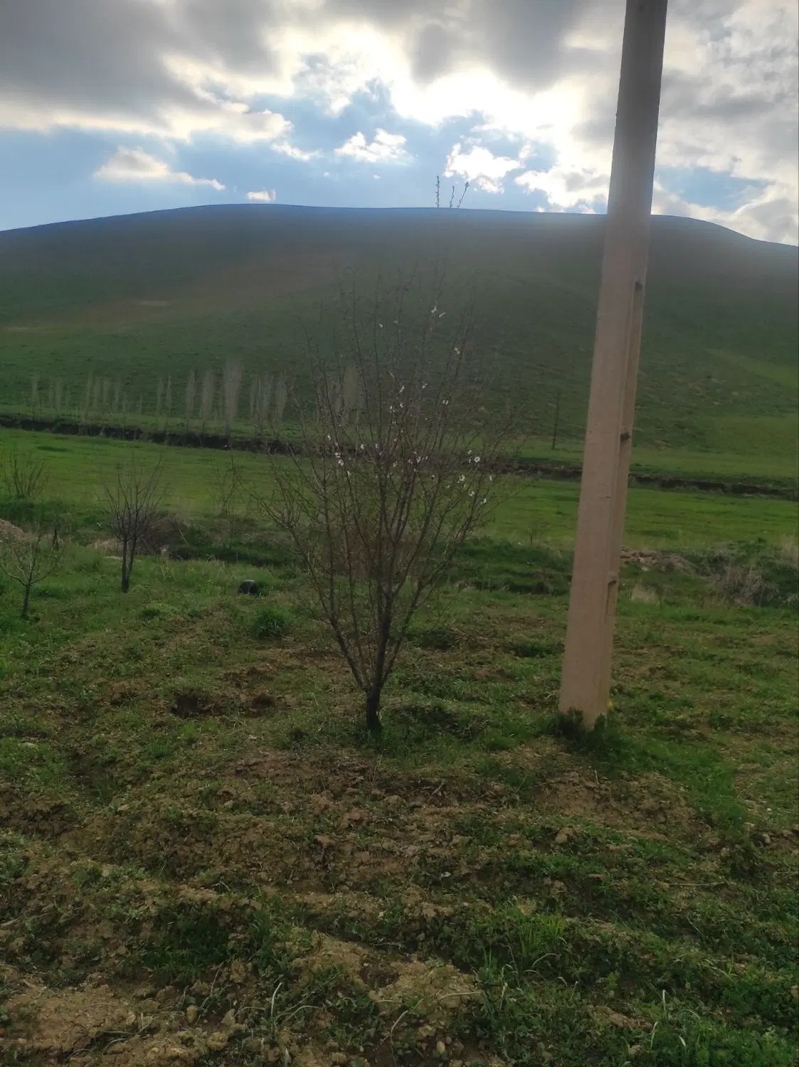 زمین کشاورزی روستای قلعه جوق