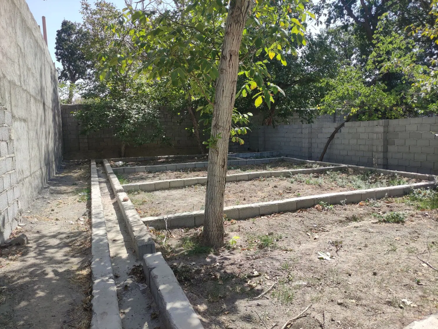 باغ حصار دار داخل محدوده اسکو