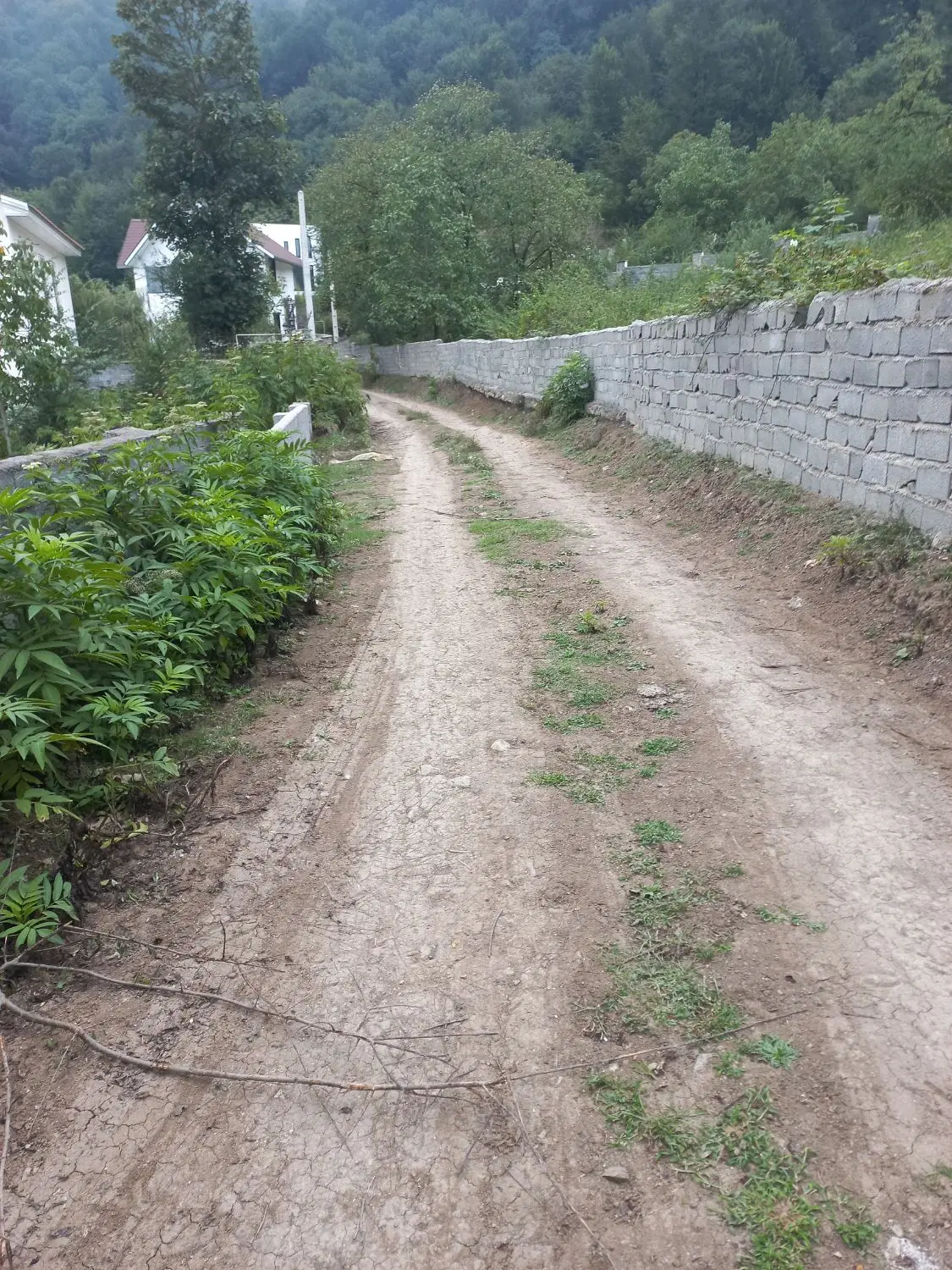 زمین سوادکوه،پلسفید،روستای پلسفید