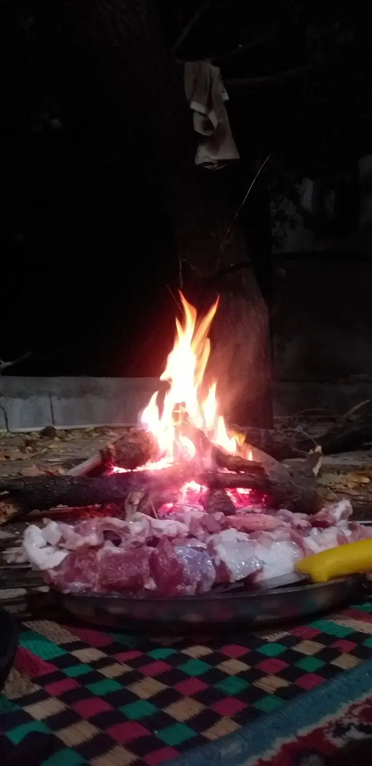 واگذاری چلو کبابی