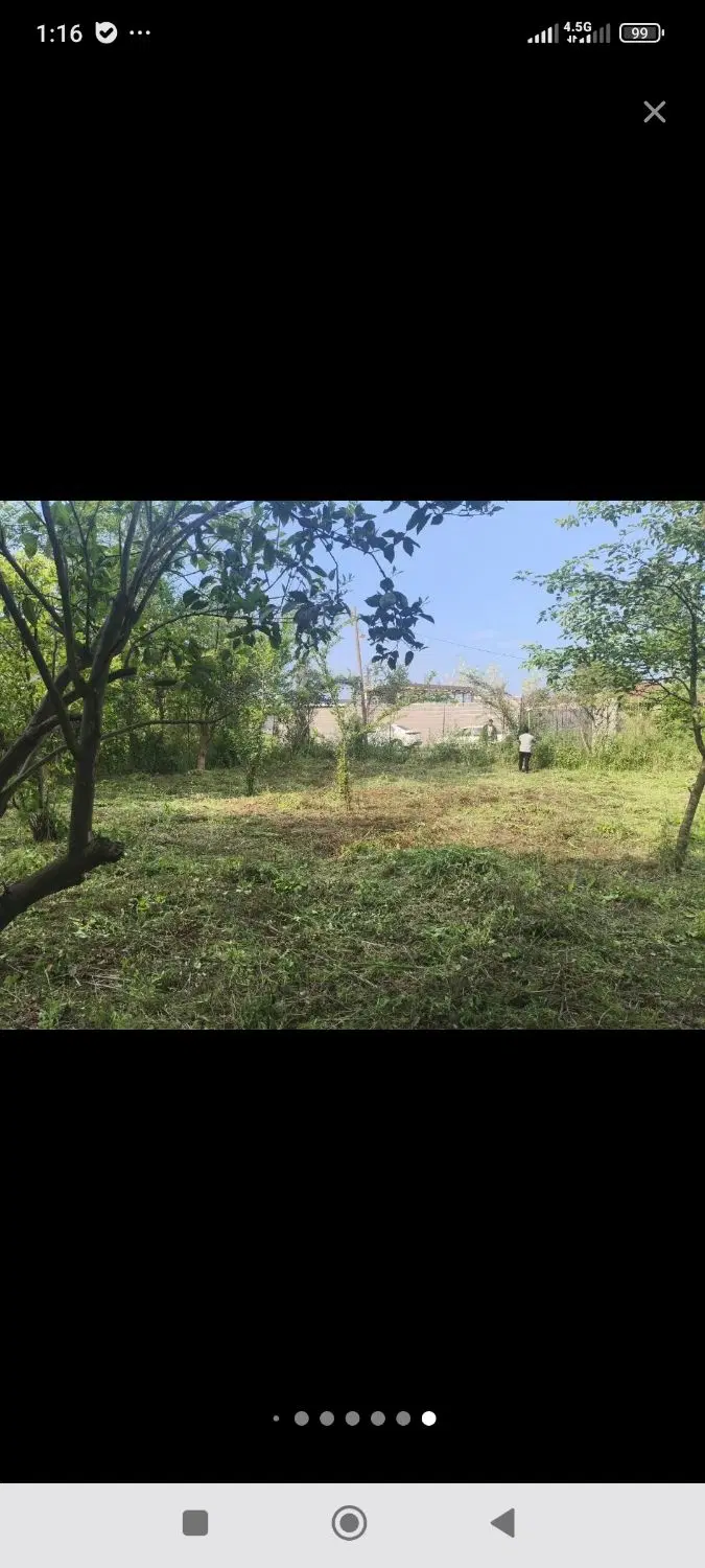 ۲۳۱متر زمین مسکونی در قاضی محله کلاچای