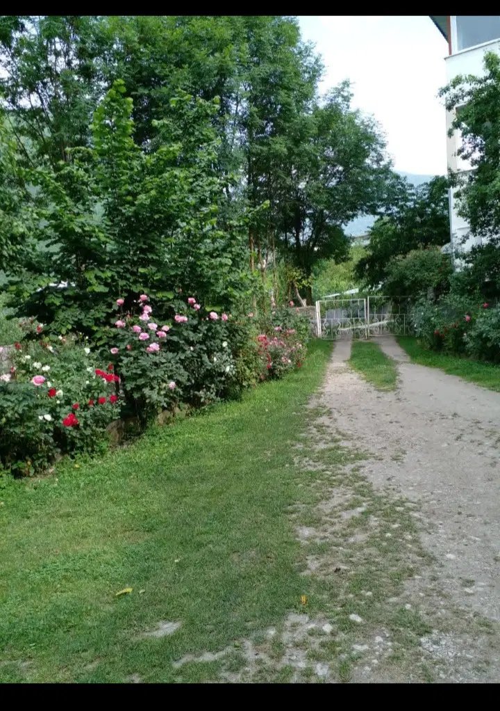 اجاره ویلا باغ بامحیطی سرسبزو طبیعی