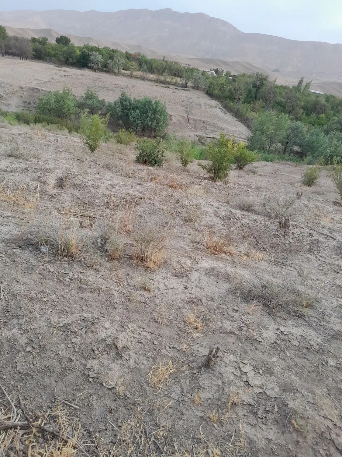 زمین روستای رازین