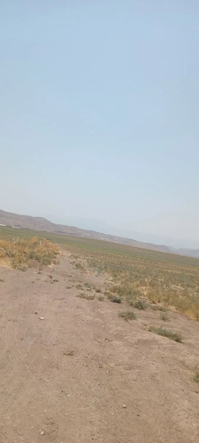 زمین