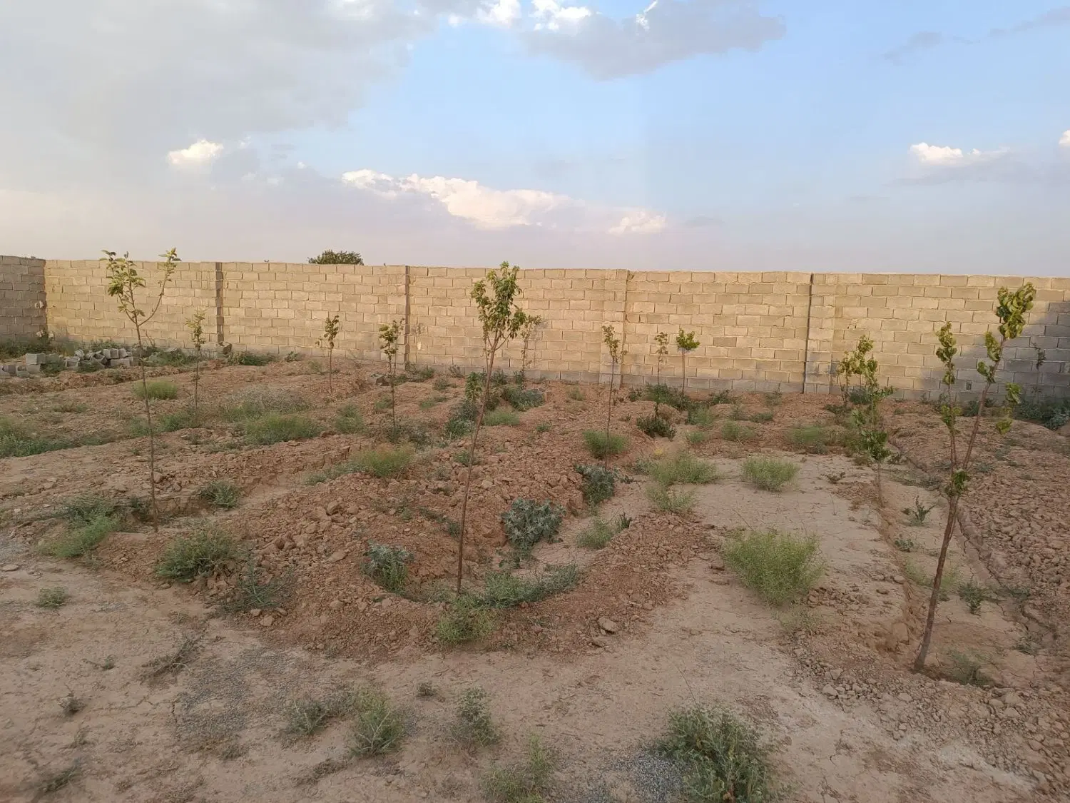زمین ۲۰۰میلیون ب بالا