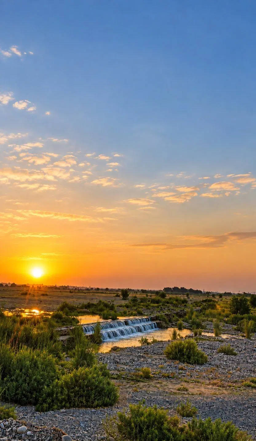 ۱هکتار زمین برای شلغم