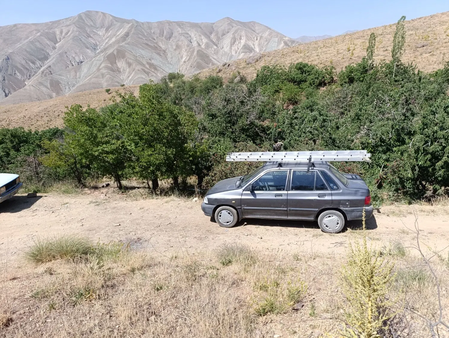 زمین درلواسان کوچک