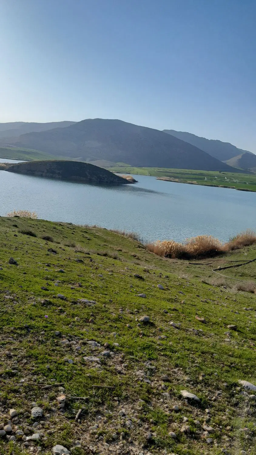 زمین