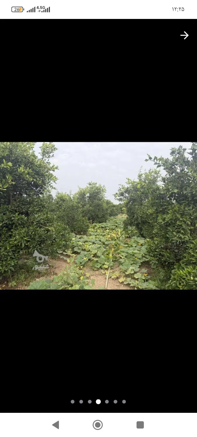 فروش باغ مرکبات