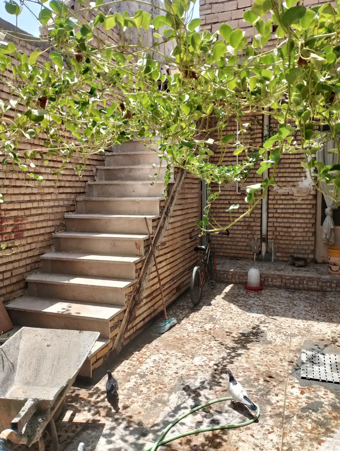 خانه ویلایی فروش