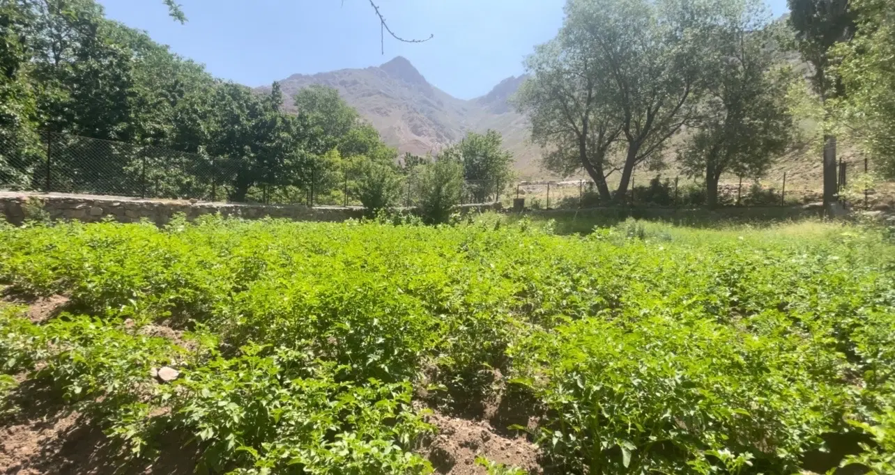 ۶۹۳ متر زمین فشم زایگان