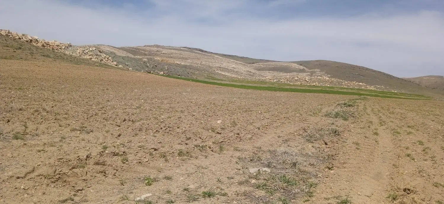 3.  هزار. متر.   زمین. دیم