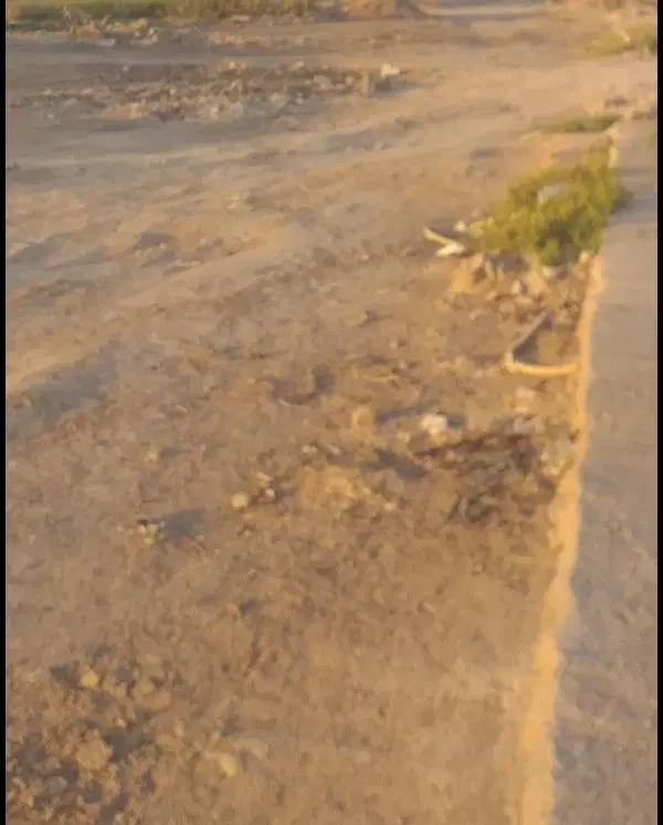 زمین 150متر مندلی