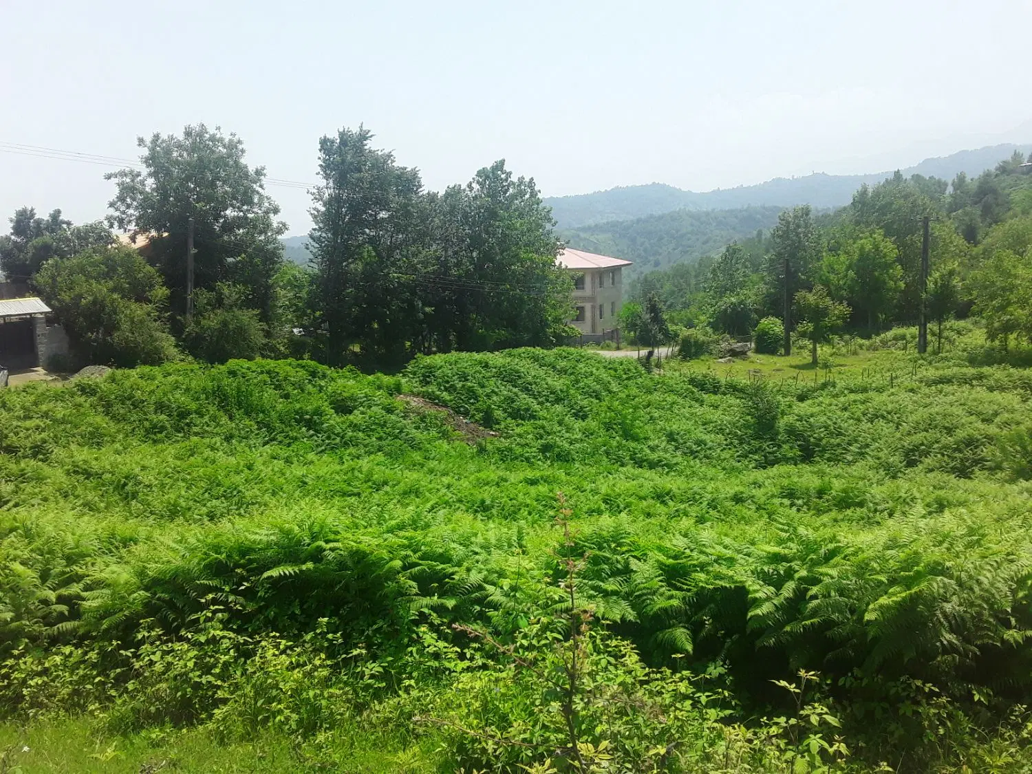 فروش ۲۸۰مترزمین سند دار با کاربری مسکونی