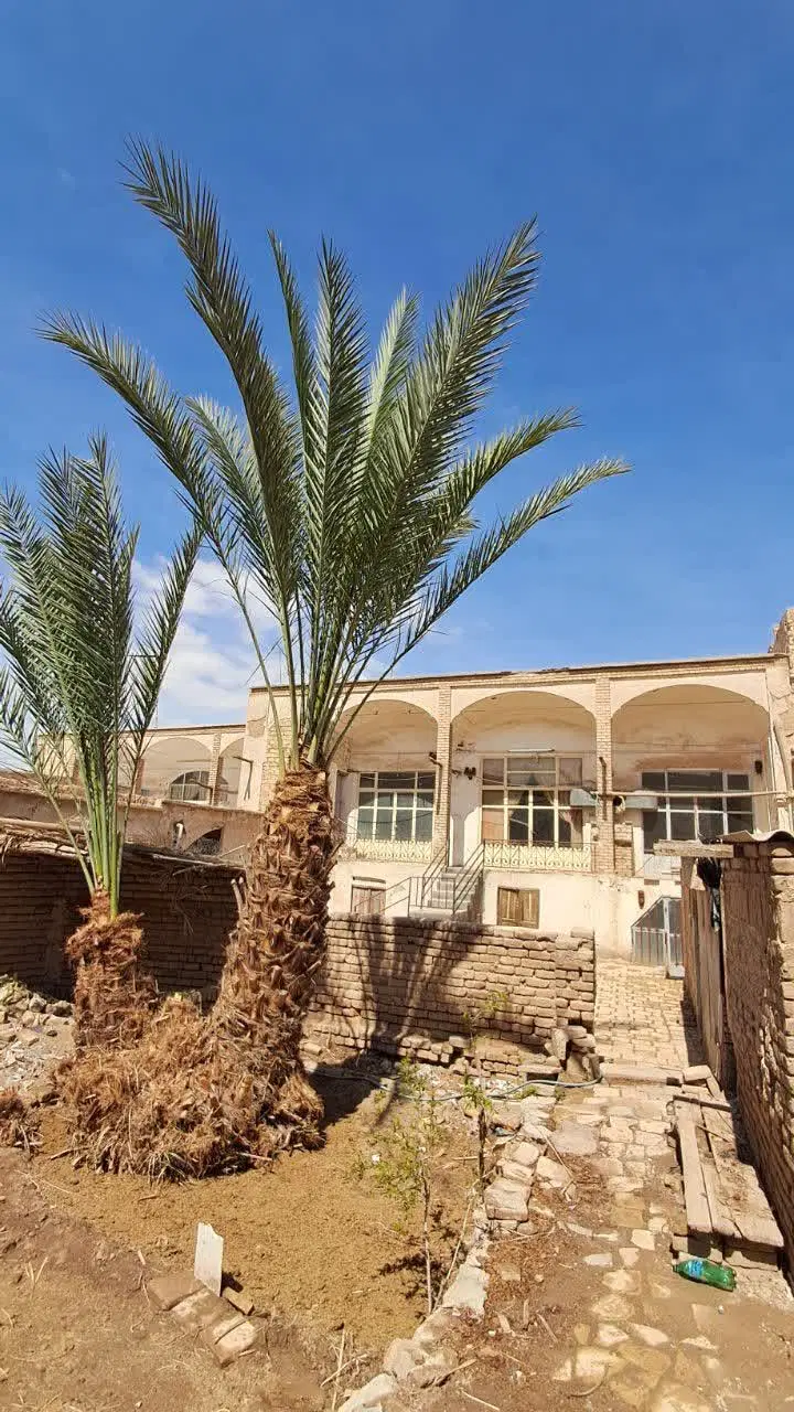 فروش منزل سنتی و قدیمی با نخل بارده مناسب بومگردی