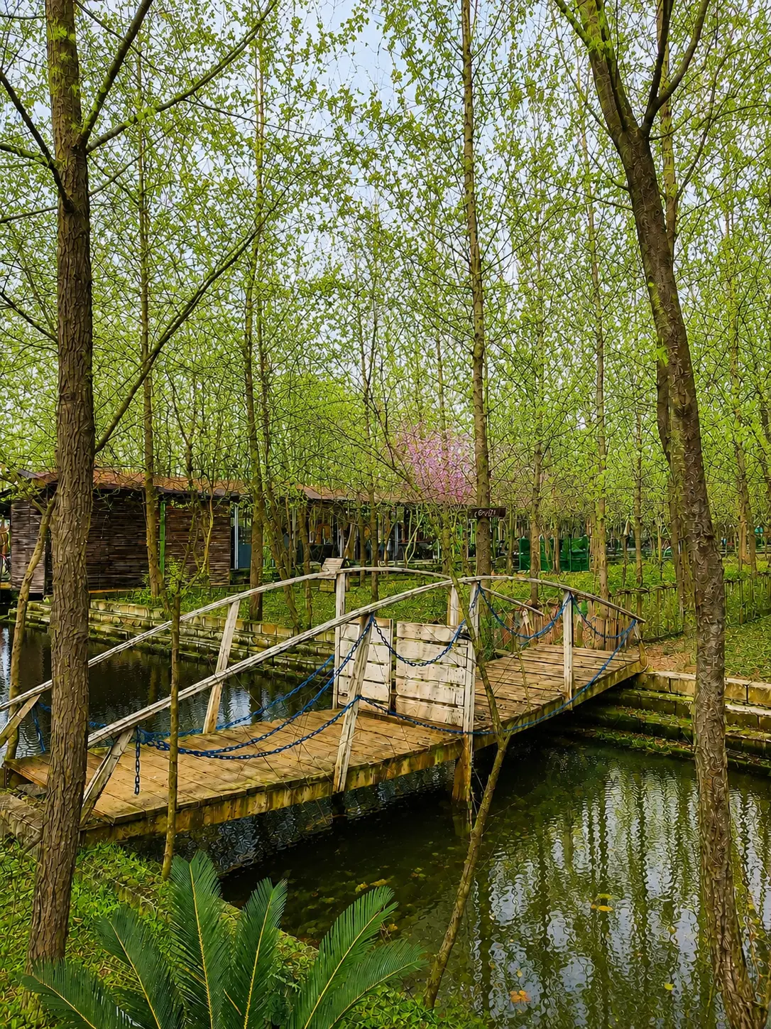 منظره ای ابدی در ویلای لوکس