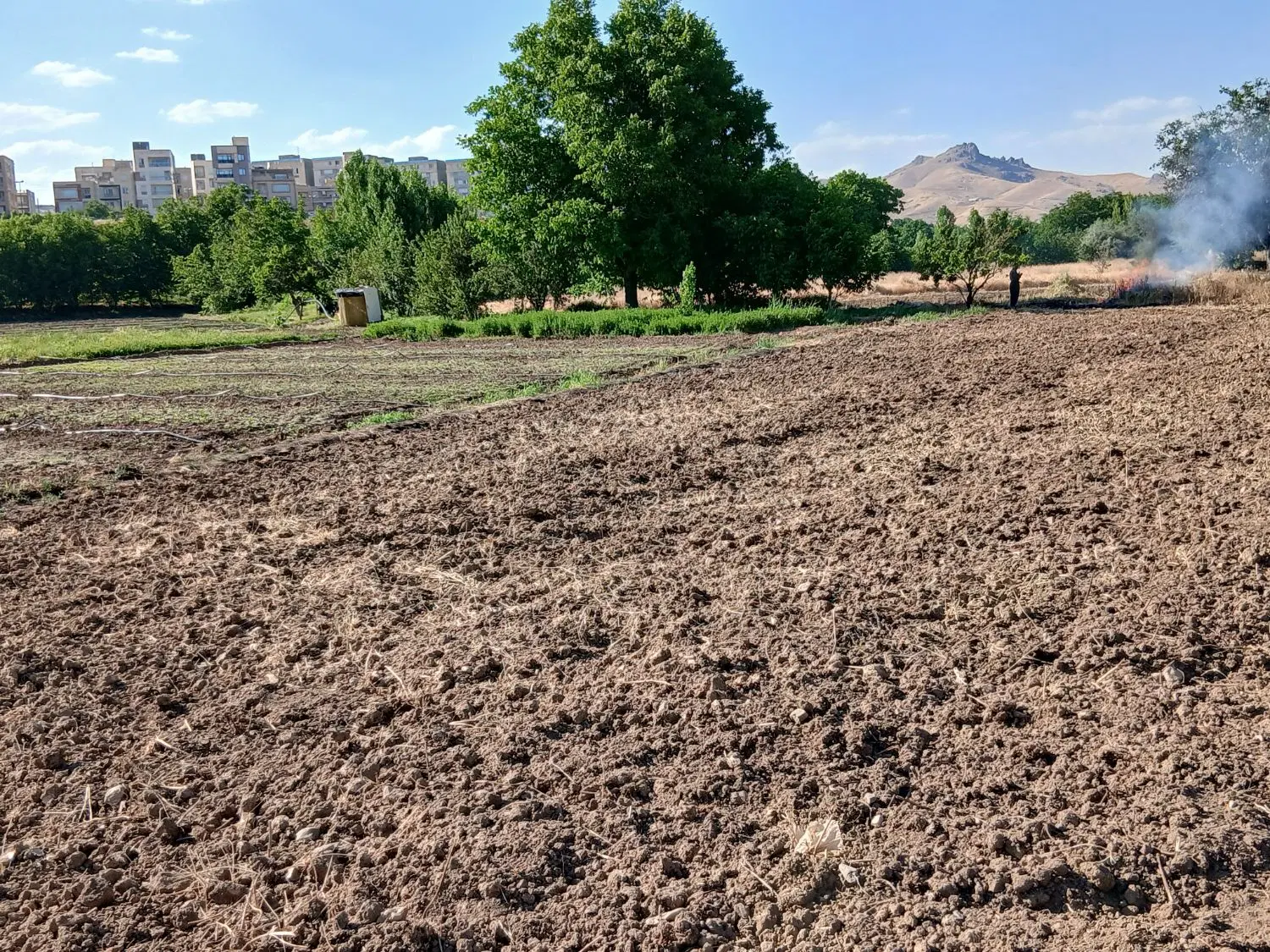 فروش زمین کشاورزی ساحلی