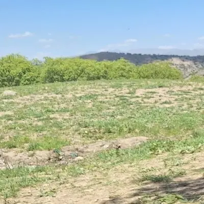 زمین مسکونی فدک