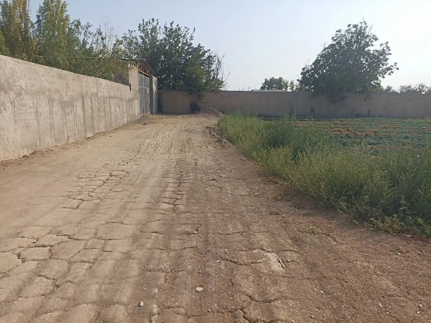 زمین 126متری