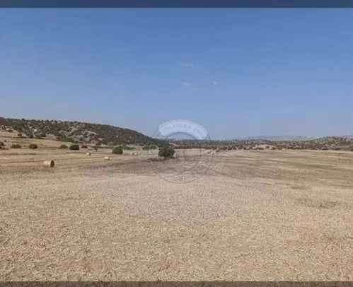 زمین ۱۴۴ متر جنوبی