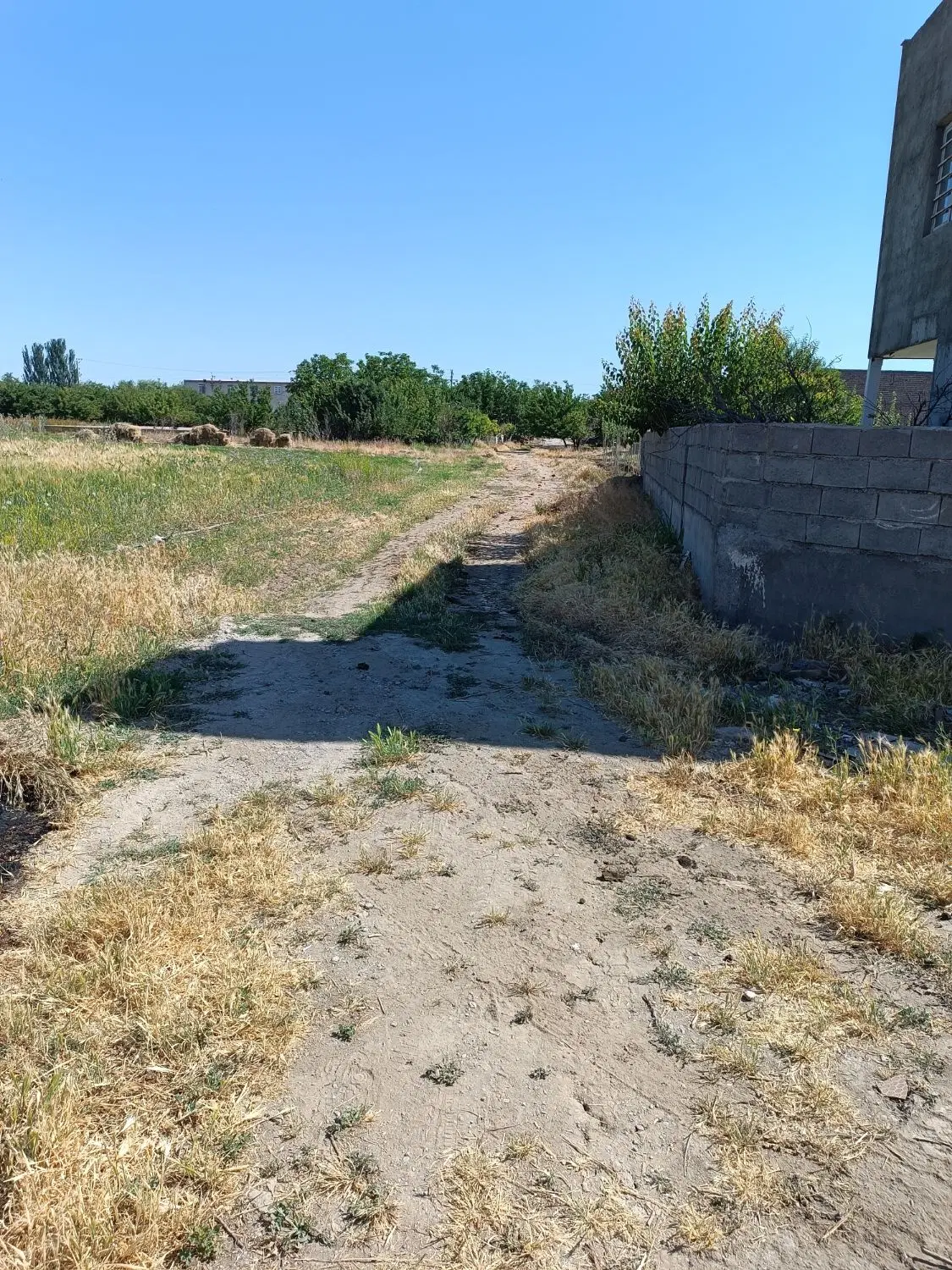 زمین برای خانه باغ