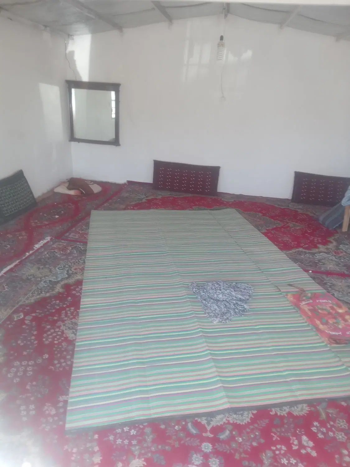 بغ ۱۰۰۰متر دور دیوار