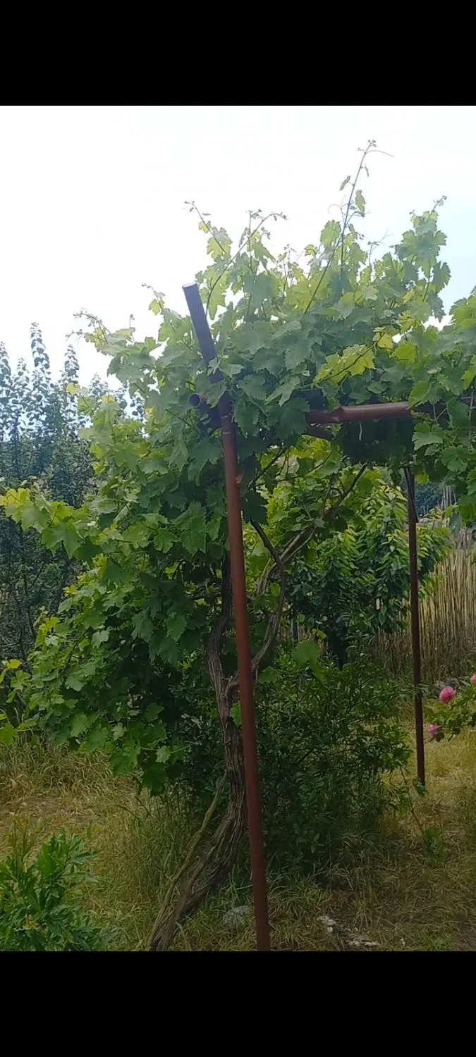 باغ ۵۰۰ متری روستای گلند تاریکی