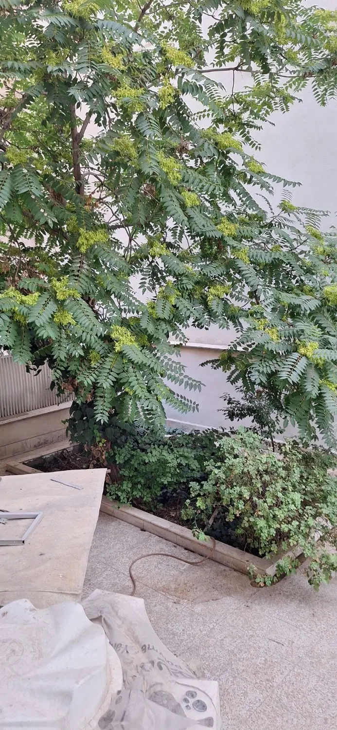 ۹۰ متر شهرک غرب حیاط در اختیار
