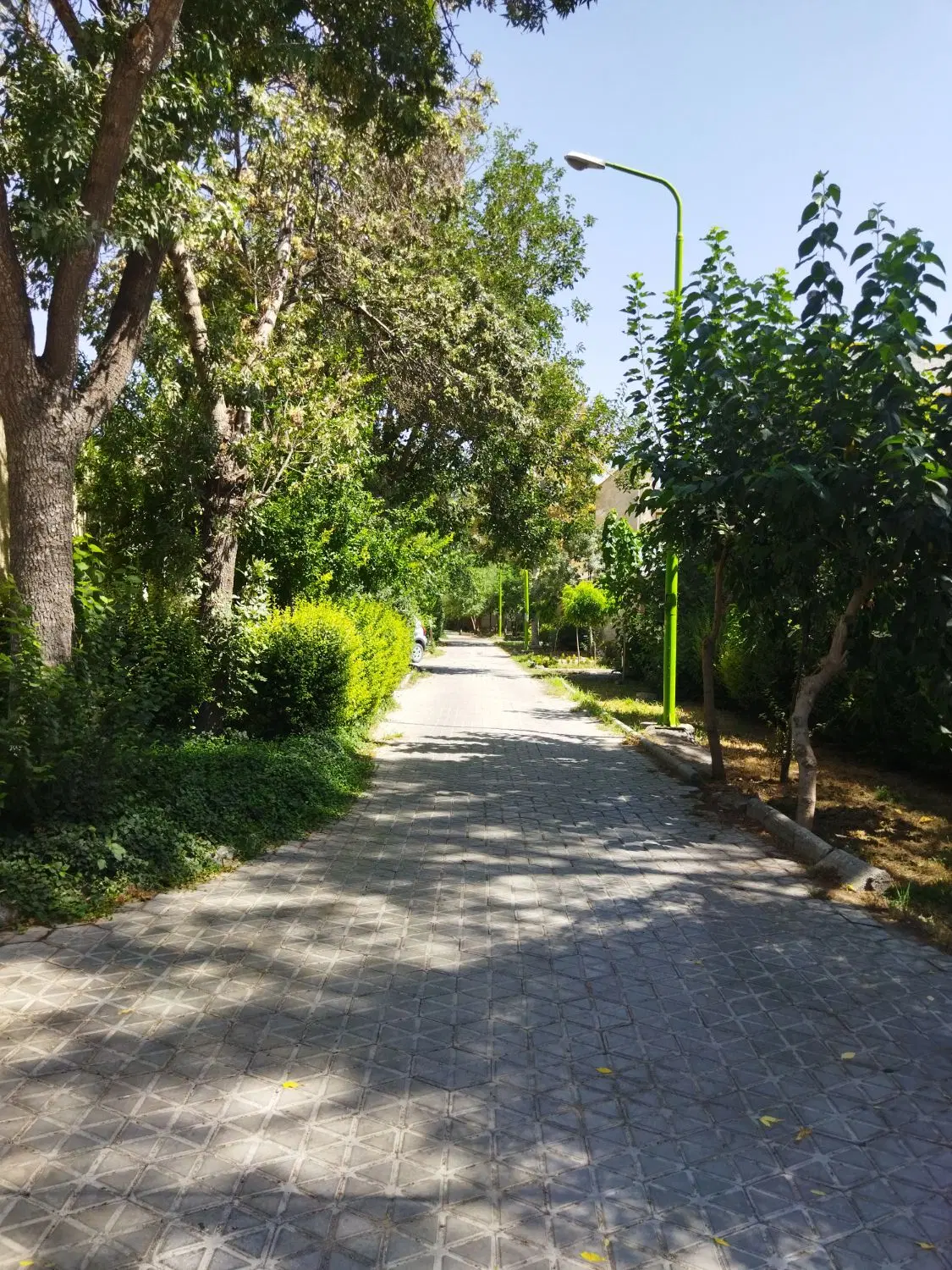 رهن و اجاره