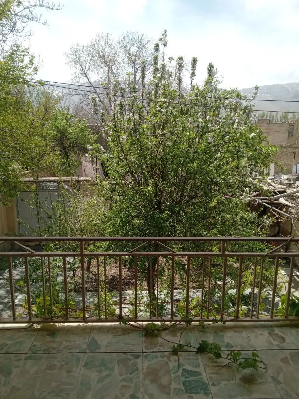 اجاره ویلایی مبله (سالیانه)