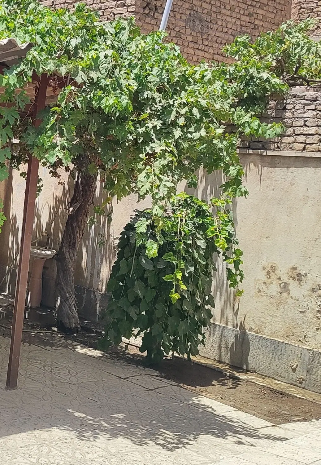 فروش منزل مسکونی100متری ویلایی