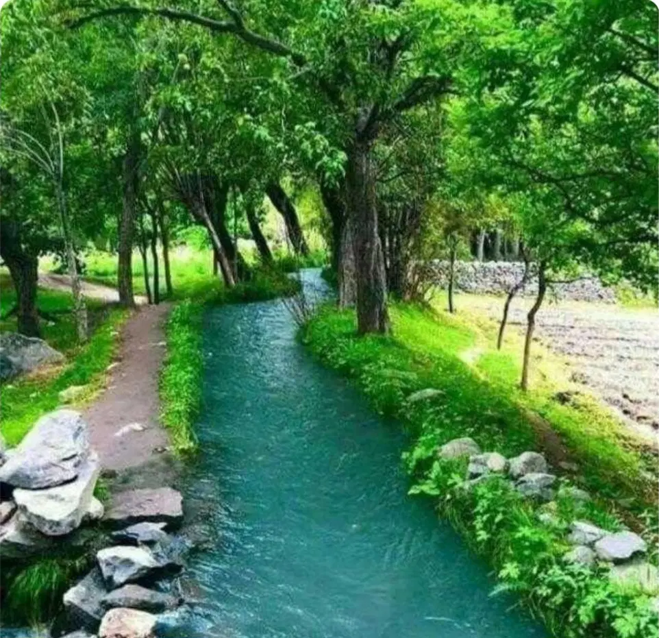 زمین فروشی مسکونی در قصرشیرین