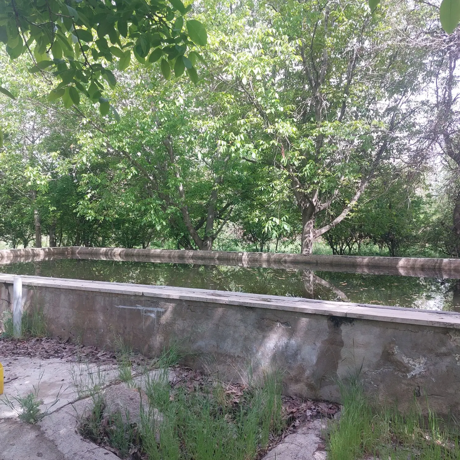 باغچه ویلایی 420.کردان.کوهسار.تهراندشت