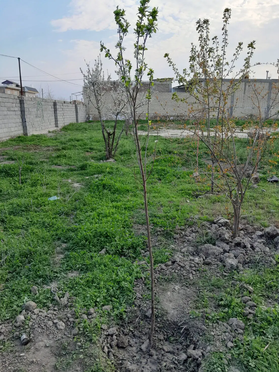 فروشی زمین