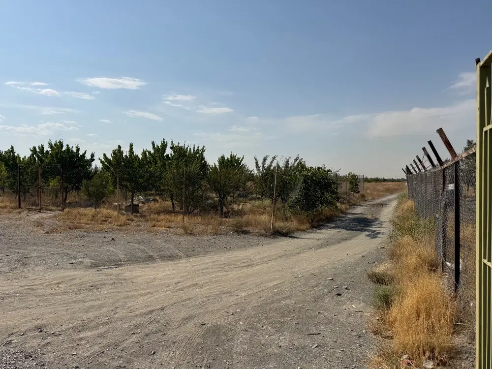 زمین فروشی * باغستان ثامن *