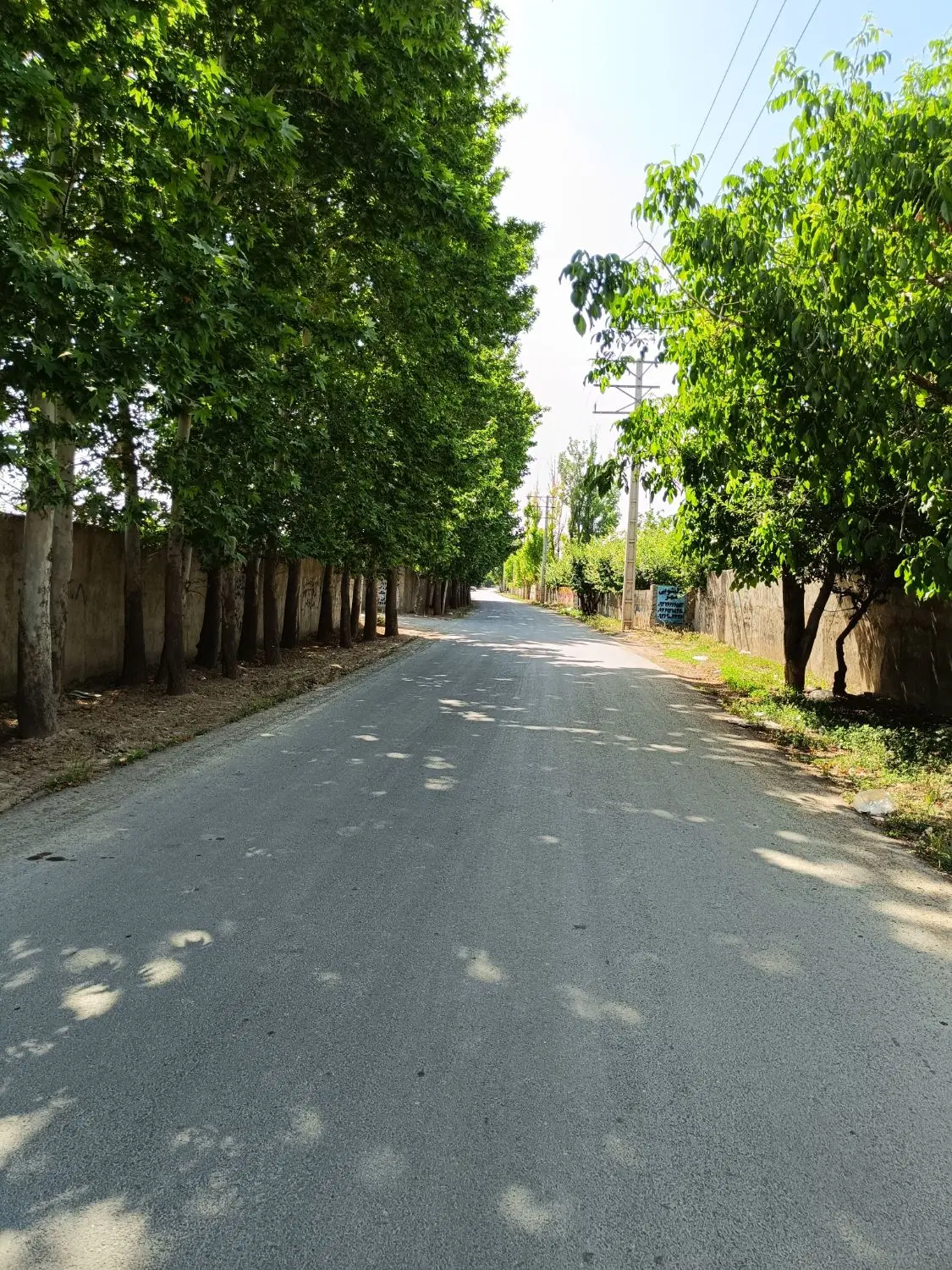 زمین ۳۶۰ سهیلیه اغچه حصار بهر بهاران خودم مالکم