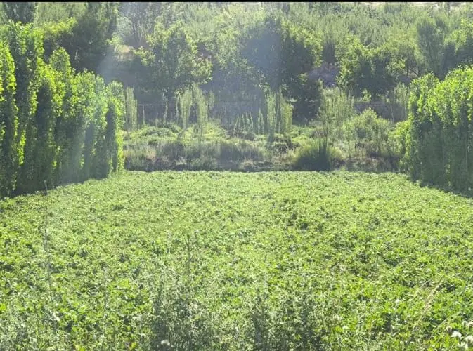 زمین 400متر برای آپارتمان سازی کنار بوستان رفیع