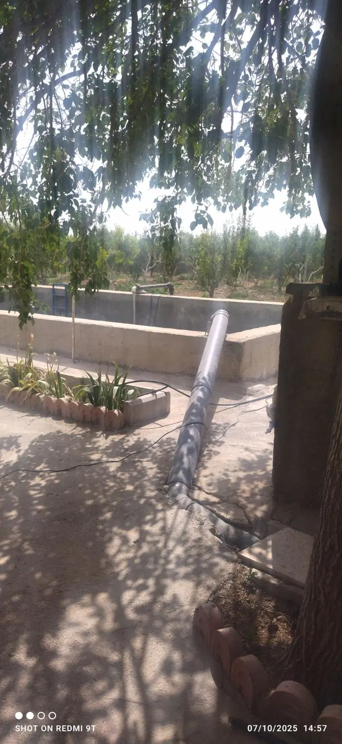 باغ میوه