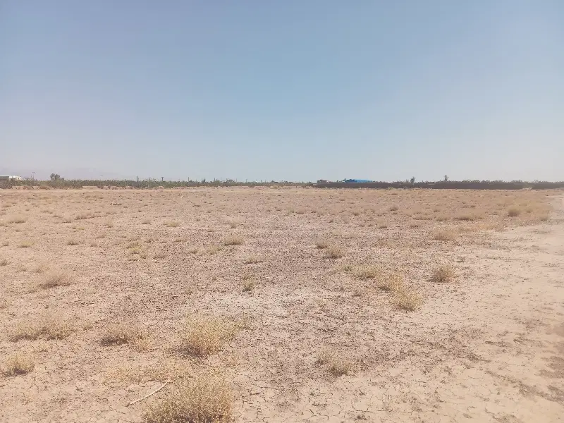 ۲۵۰ متر از سهم از شهرک آموزش پرورش بلوار عابدینی