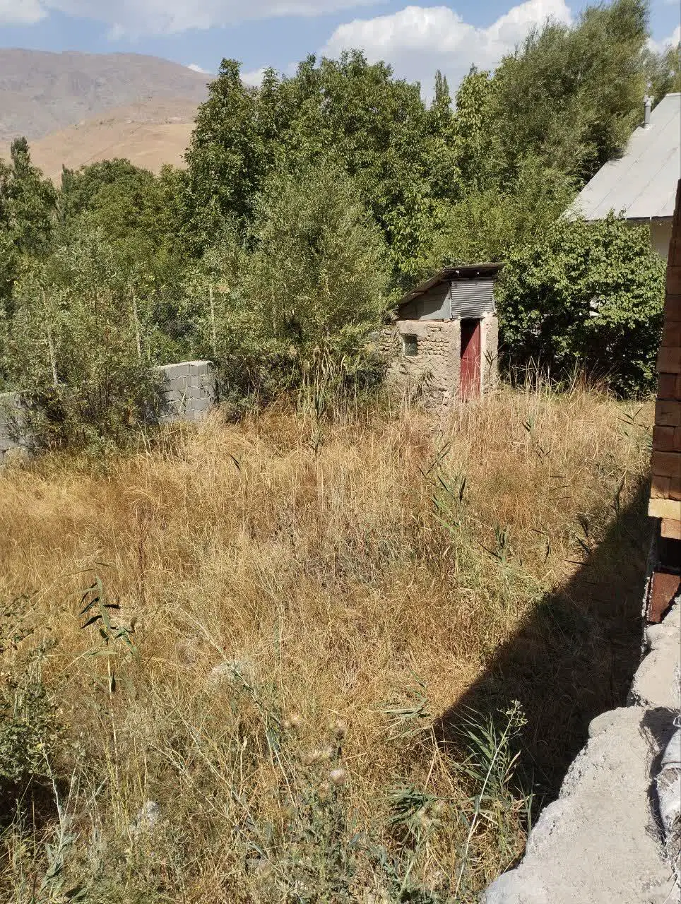 زمین 200 متری روستای وشته طالقان